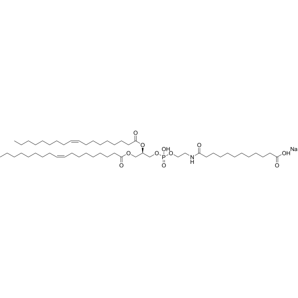 18:1 Dodecanyl PE 474923-47-2
